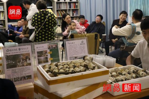 海南儋州食用菌品鉴文化艺术交流活动圆满成功举办,好评如潮!